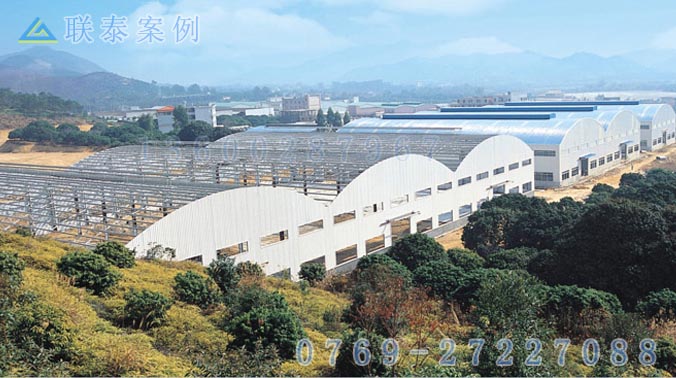 广东 大霖林业